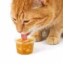 ChatGPT Image Jan 18, 2026, 07_47_06 AM.webp